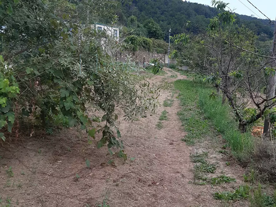 Immagine 29 di Rustico / casale in vendita  in località quartarole a Borghetto D'arroscia