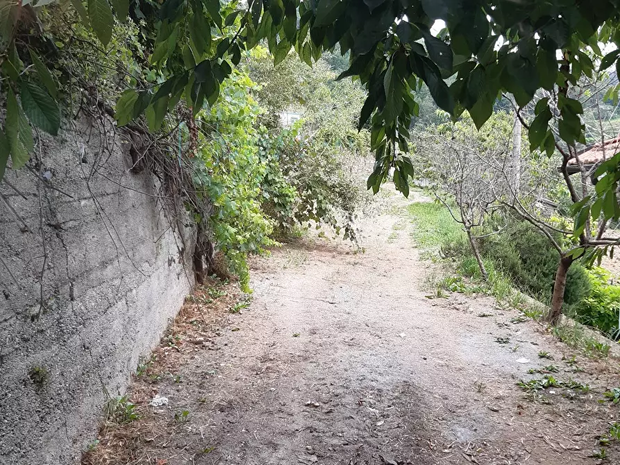 Immagine 30 di Rustico / casale in vendita  in località quartarole a Borghetto D'arroscia