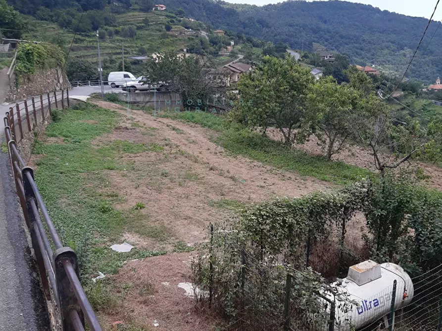 Immagine 31 di Rustico / casale in vendita  in località quartarole a Borghetto D'arroscia