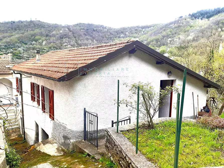 Immagine 1 di Casa indipendente in vendita  in Via comunale a Testico