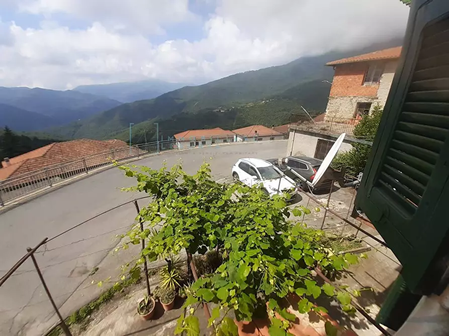 Immagine 22 di Rustico / casale in vendita  in Via Innocenzo Lucifredi a Borghetto D'arroscia