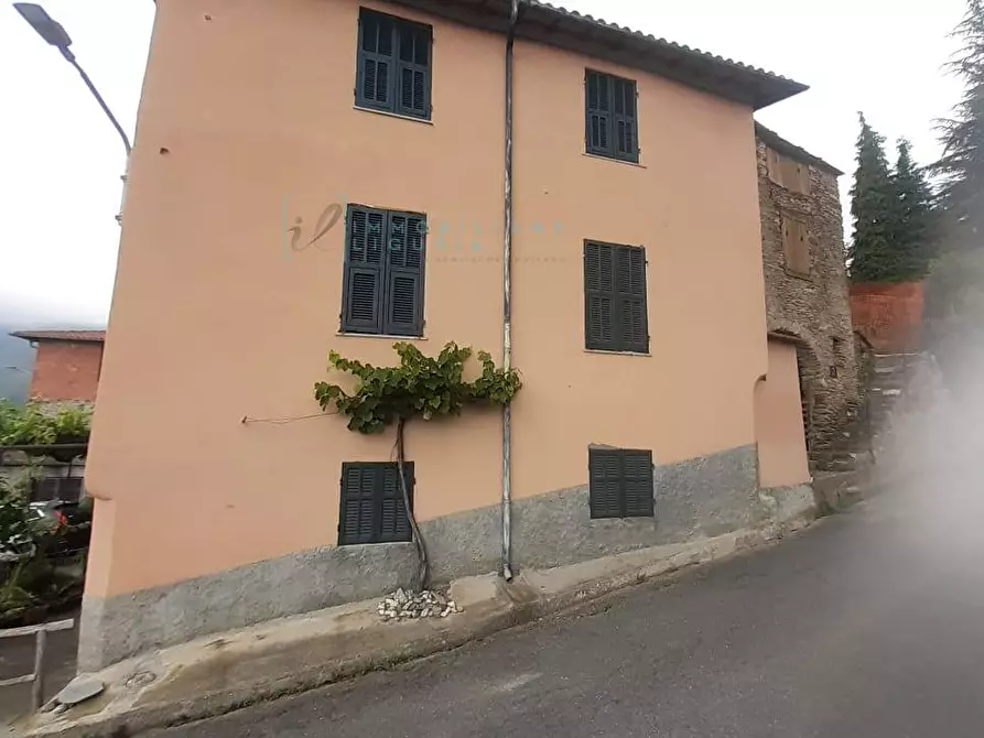 Immagine 2 di Rustico / casale in vendita  in Via Innocenzo Lucifredi a Borghetto D'arroscia
