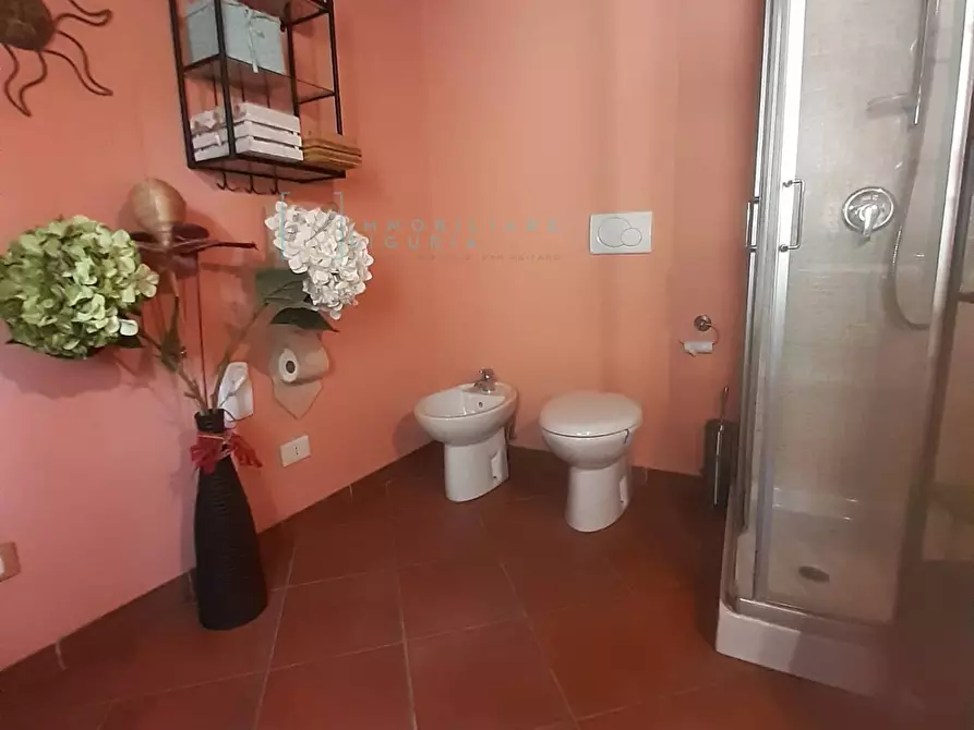 Immagine 26 di Rustico / casale in vendita  in località cascina a Borghetto D'arroscia