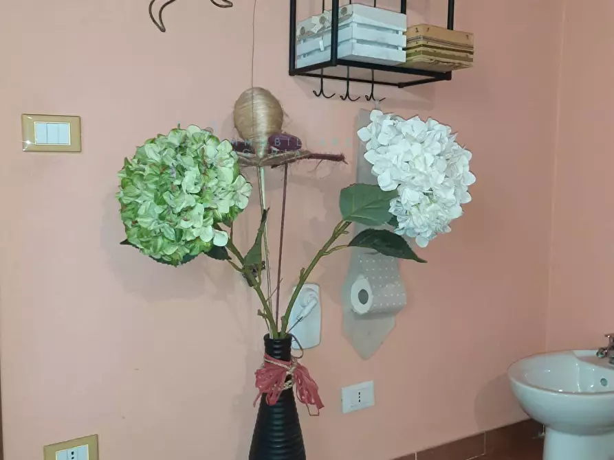 Immagine 30 di Rustico / casale in vendita  in località cascina a Borghetto D'arroscia