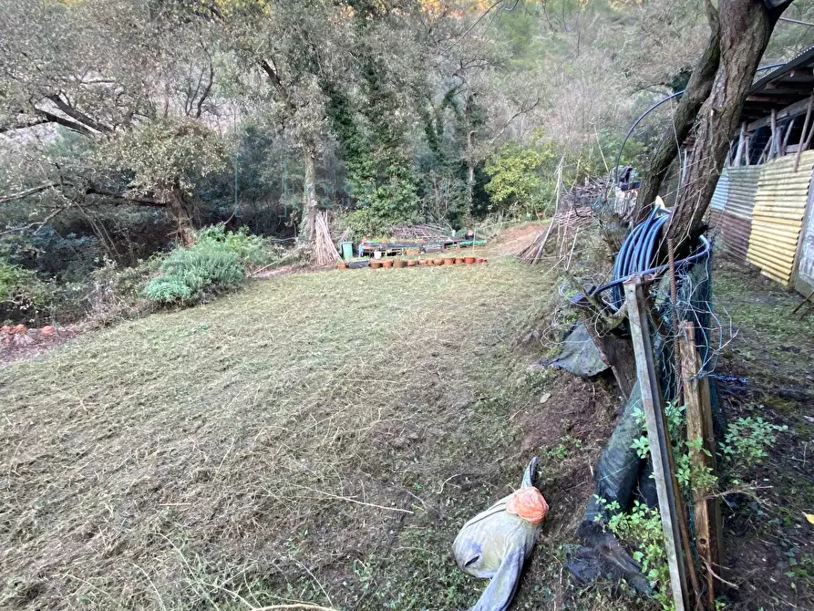 Immagine 17 di Terreno agricolo in vendita  in San Fedele a Albenga