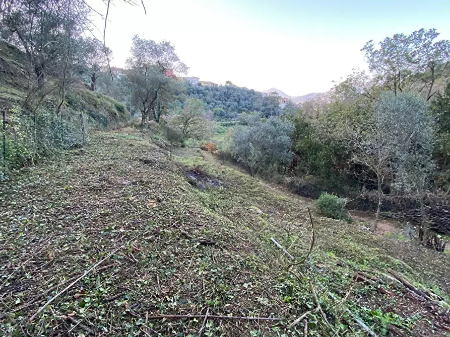 Immagine 19 di Terreno agricolo in vendita  in San Fedele a Albenga