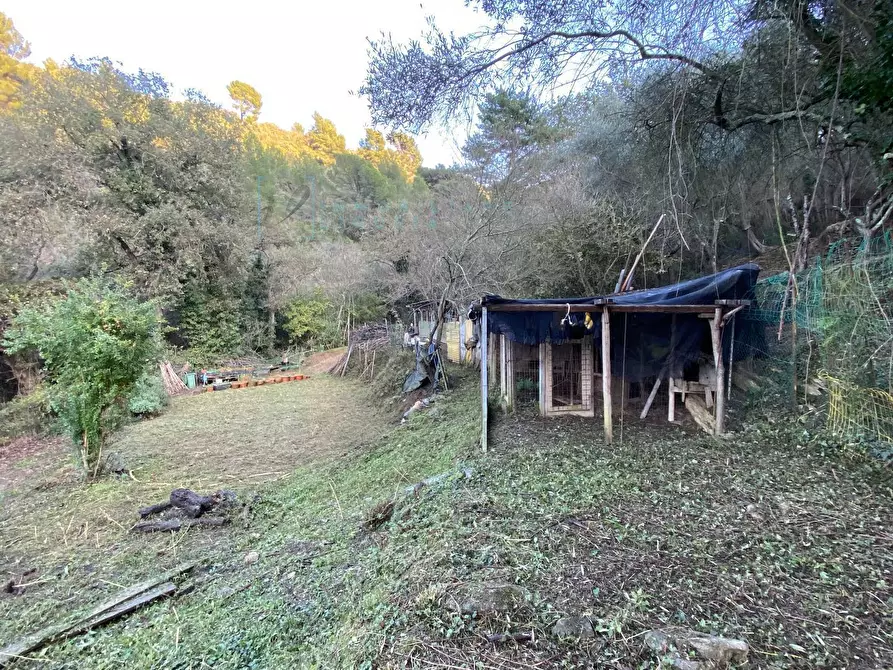 Immagine 20 di Terreno agricolo in vendita  in San Fedele a Albenga