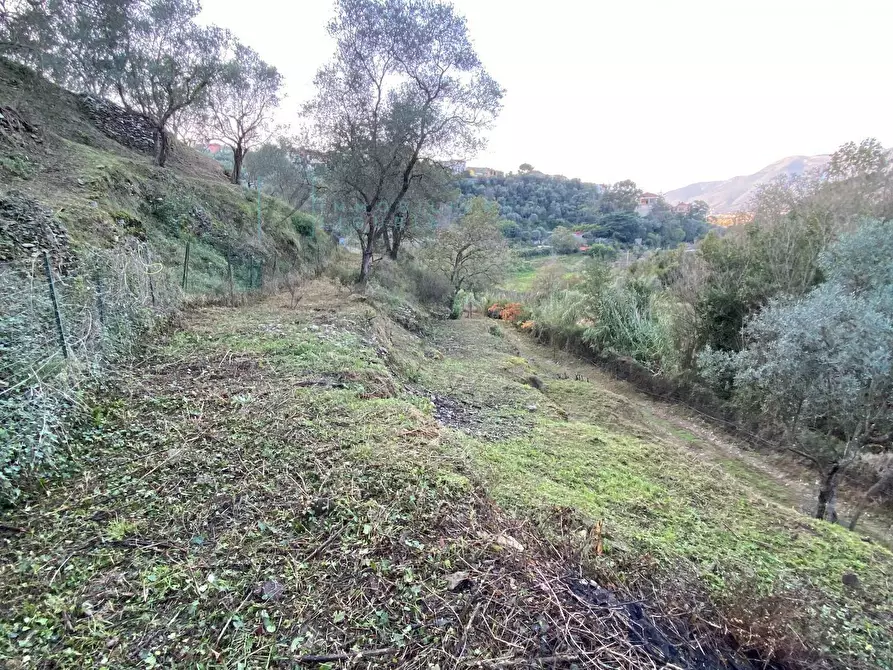 Immagine 21 di Terreno agricolo in vendita  in San Fedele a Albenga