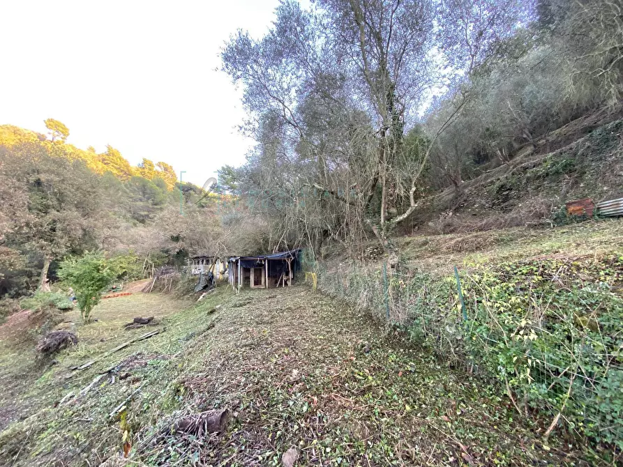 Immagine 22 di Terreno agricolo in vendita  in San Fedele a Albenga