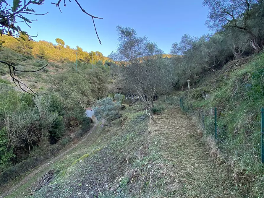 Immagine 24 di Terreno agricolo in vendita  in San Fedele a Albenga