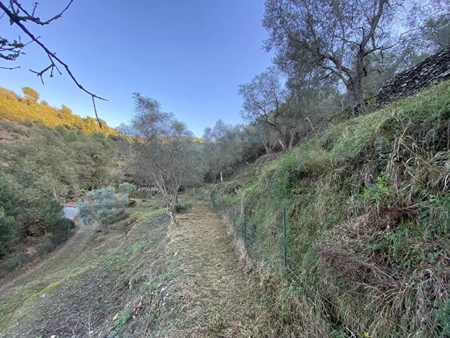 Immagine 25 di Terreno agricolo in vendita  in San Fedele a Albenga