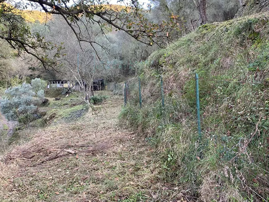 Immagine 28 di Terreno agricolo in vendita  in San Fedele a Albenga