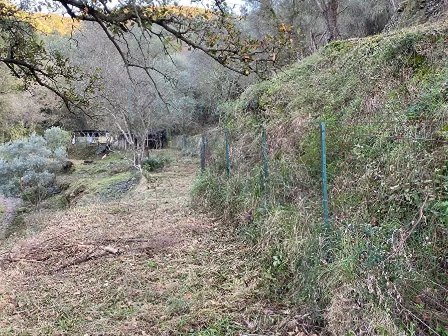 Immagine 29 di Terreno agricolo in vendita  in San Fedele a Albenga