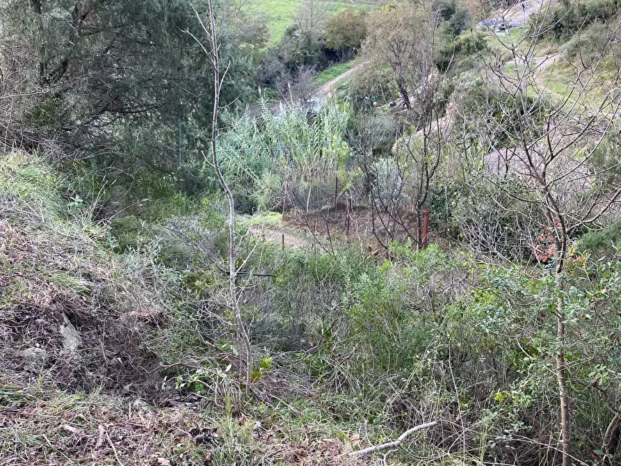 Immagine 30 di Terreno agricolo in vendita  in San Fedele a Albenga
