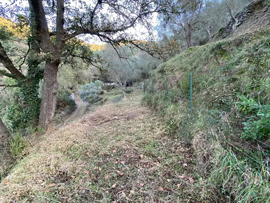 Immagine 31 di Terreno agricolo in vendita  in San Fedele a Albenga