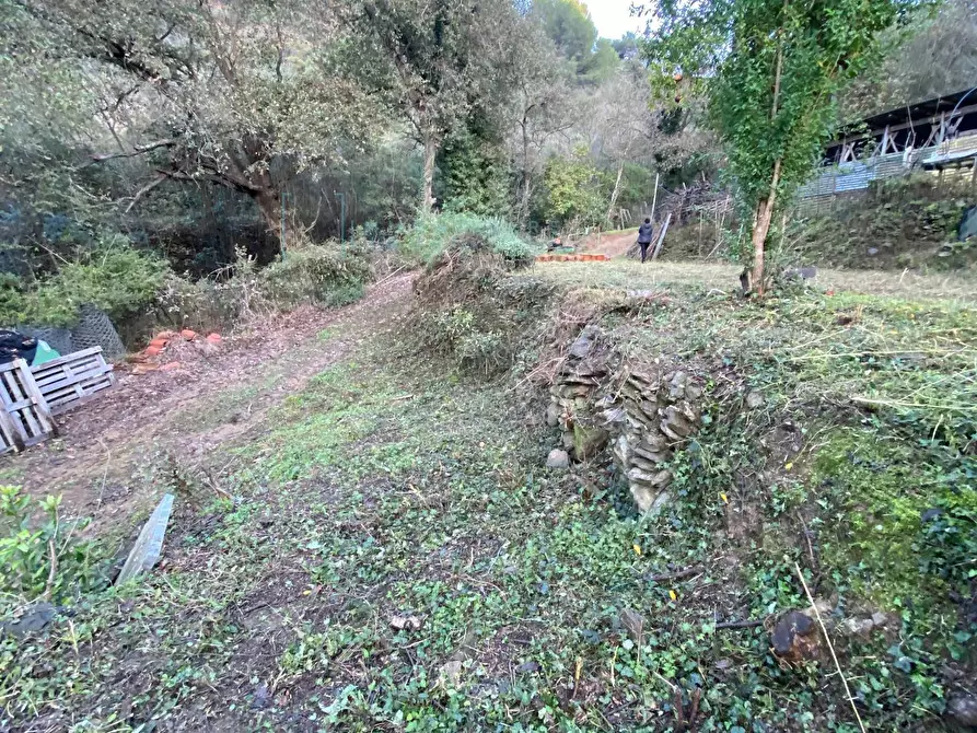 Immagine 38 di Terreno agricolo in vendita  in San Fedele a Albenga