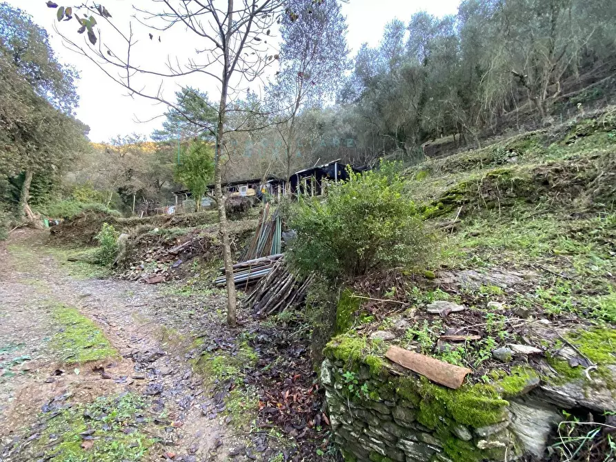 Immagine 40 di Terreno agricolo in vendita  in San Fedele a Albenga