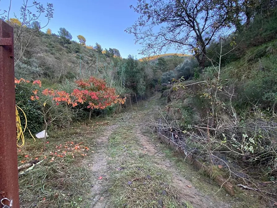 Immagine 42 di Terreno agricolo in vendita  in San Fedele a Albenga