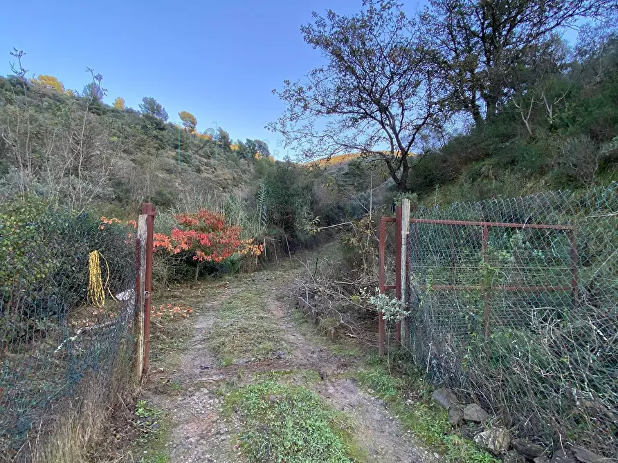 Immagine 43 di Terreno agricolo in vendita  in San Fedele a Albenga