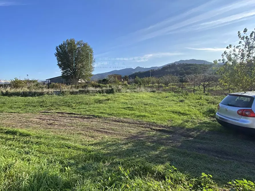 Immagine 4 di Terreno agricolo in vendita  in Regione Beronaire a Albenga