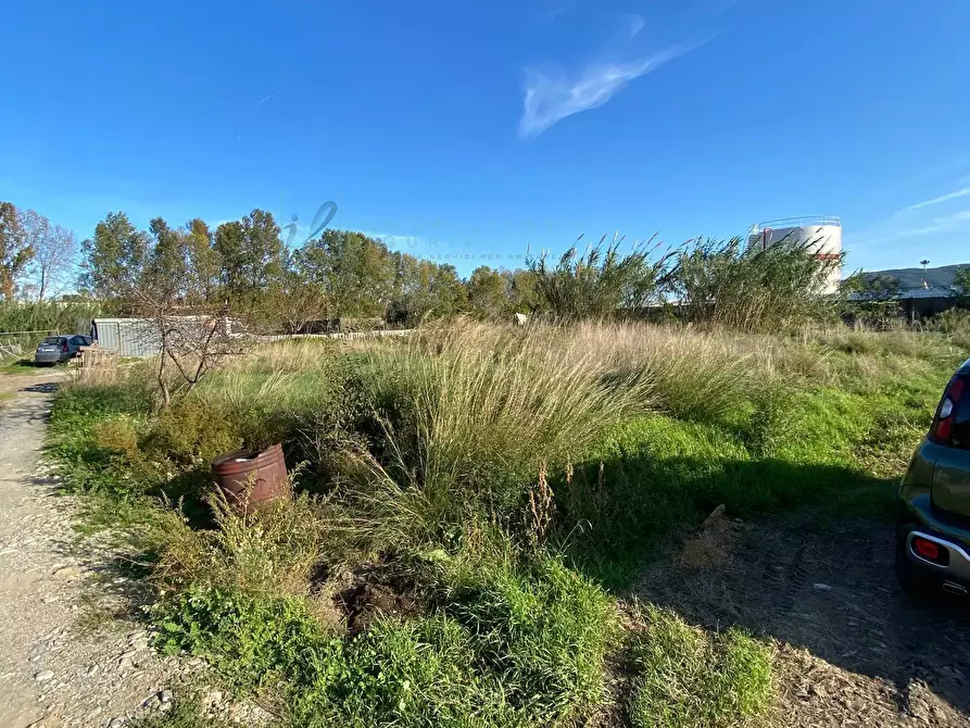 Immagine 6 di Terreno agricolo in vendita  in Regione Beronaire a Albenga