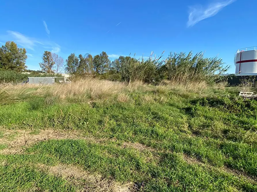 Immagine 7 di Terreno agricolo in vendita  in Regione Beronaire a Albenga