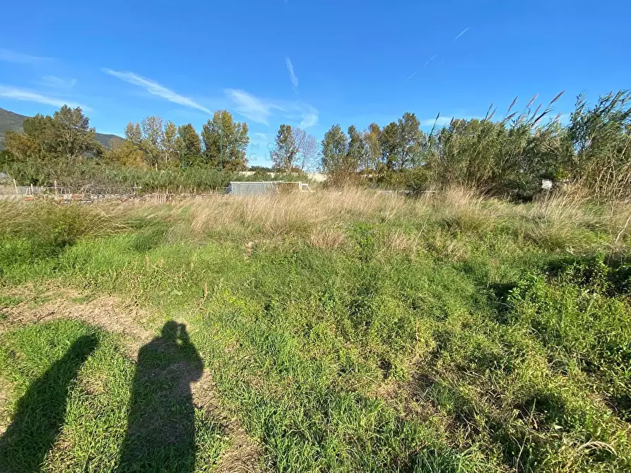 Immagine 8 di Terreno agricolo in vendita  in Regione Beronaire a Albenga