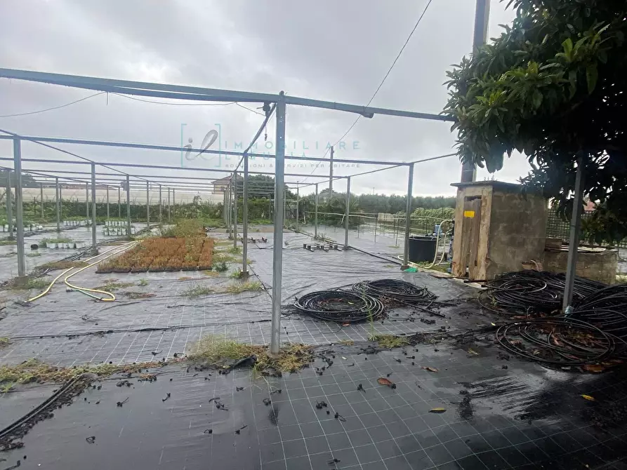 Immagine 3 di Terreno agricolo in vendita  in Prato del Vescovo a Albenga