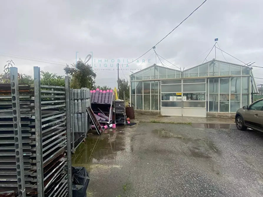 Immagine 4 di Terreno agricolo in vendita  in Prato del Vescovo a Albenga