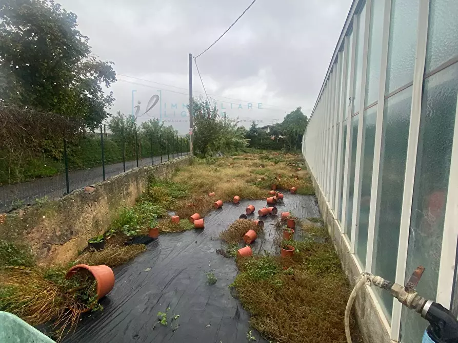 Immagine 7 di Terreno agricolo in vendita  in Prato del Vescovo a Albenga