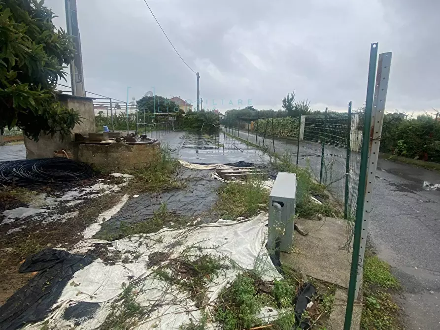 Immagine 8 di Terreno agricolo in vendita  in Prato del Vescovo a Albenga