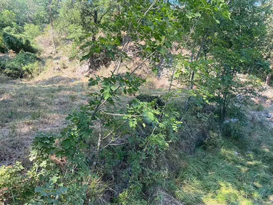 Immagine 6 di Terreno residenziale in vendita  in località bricco a Calice Ligure