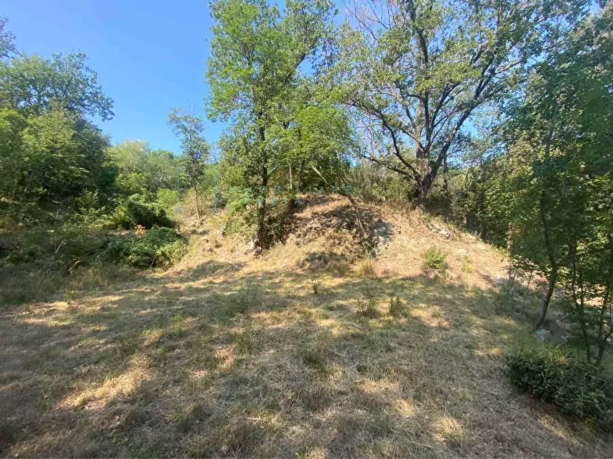 Immagine 7 di Terreno residenziale in vendita  in località bricco a Calice Ligure