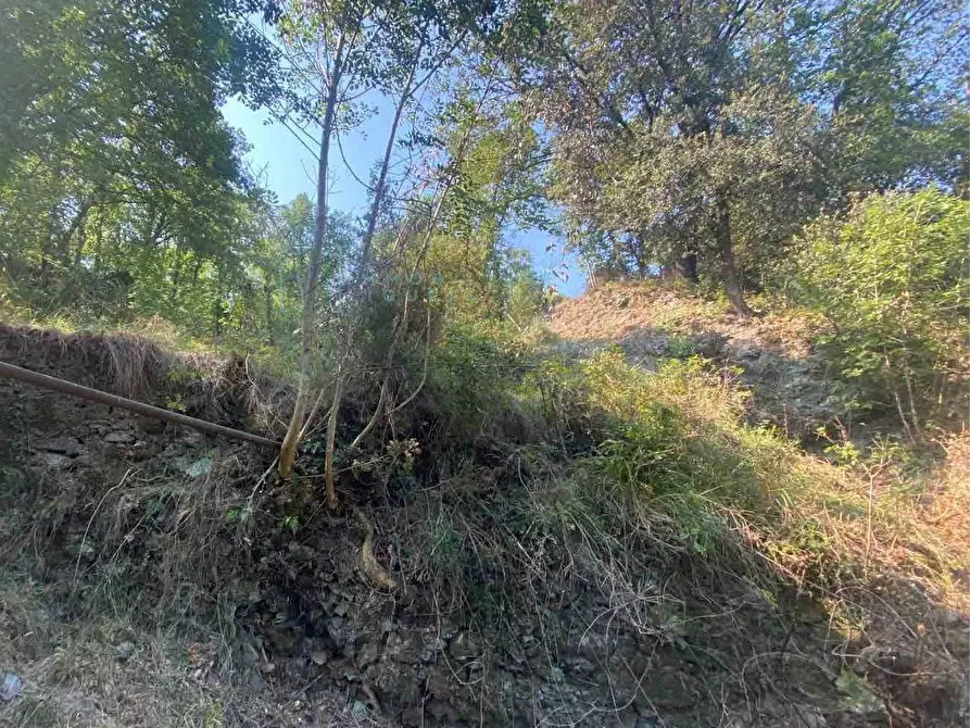 Immagine 8 di Terreno residenziale in vendita  in località bricco a Calice Ligure