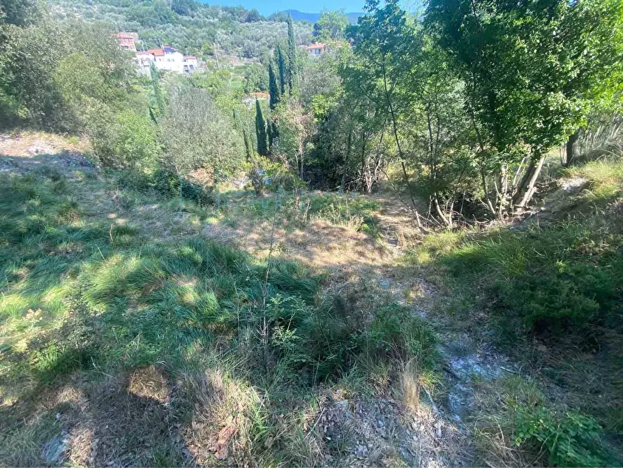 Immagine 9 di Terreno residenziale in vendita  in località bricco a Calice Ligure