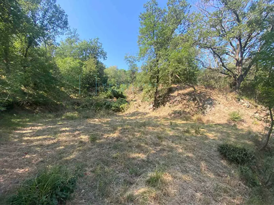 Immagine 10 di Terreno residenziale in vendita  in località bricco a Calice Ligure
