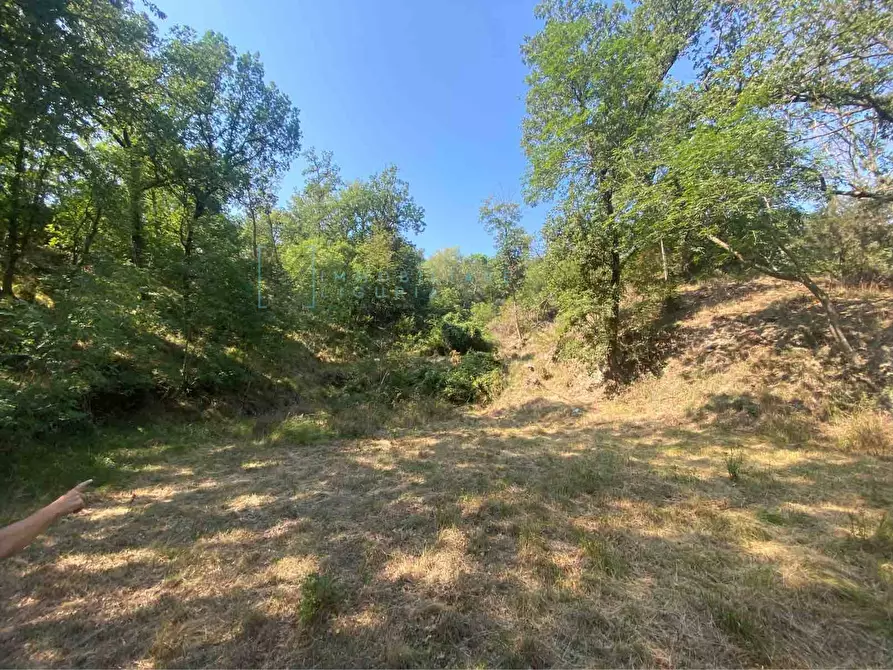 Immagine 11 di Terreno residenziale in vendita  in località bricco a Calice Ligure