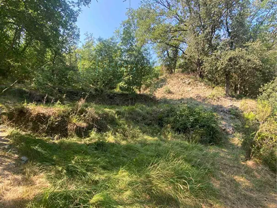Immagine 12 di Terreno residenziale in vendita  in località bricco a Calice Ligure