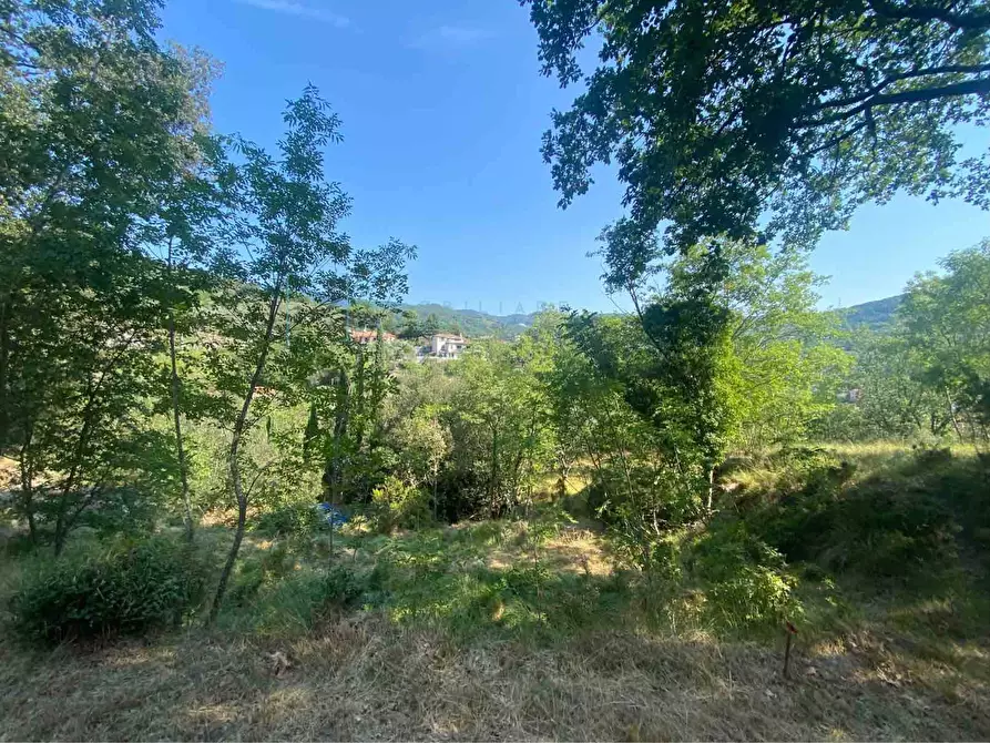Immagine 13 di Terreno residenziale in vendita  in località bricco a Calice Ligure