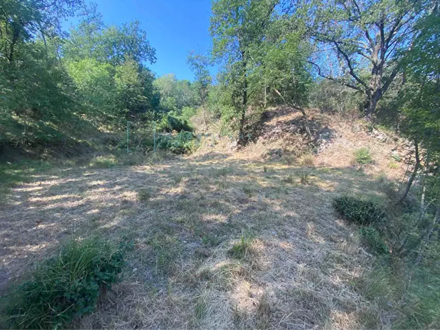 Immagine 15 di Terreno residenziale in vendita  in località bricco a Calice Ligure