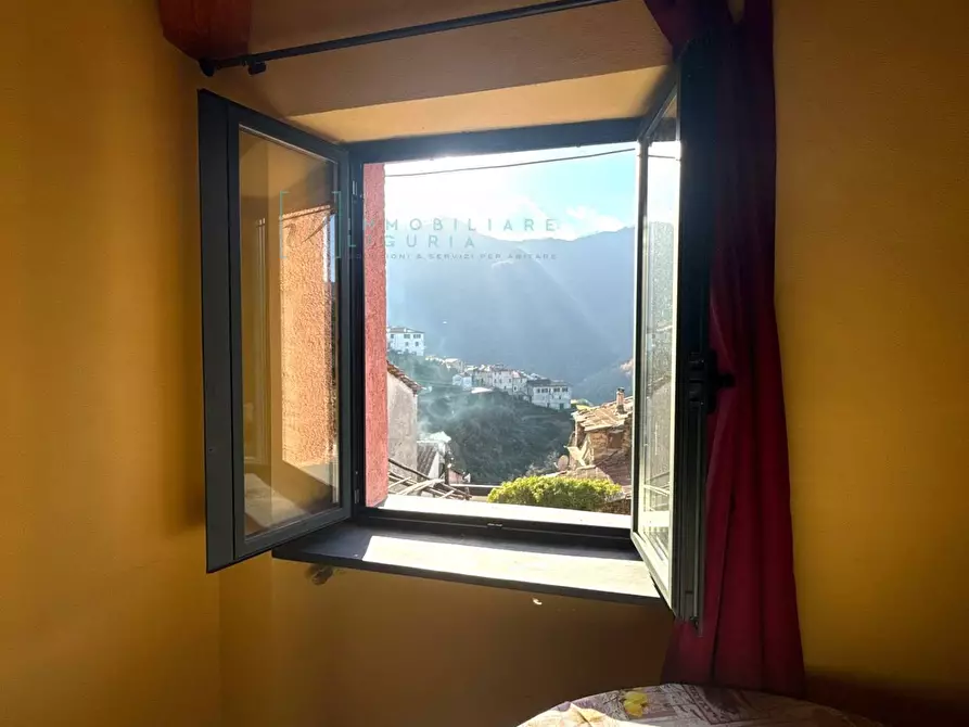 Immagine 11 di Rustico / casale in vendita  in Ubaghetta a Borghetto D'arroscia