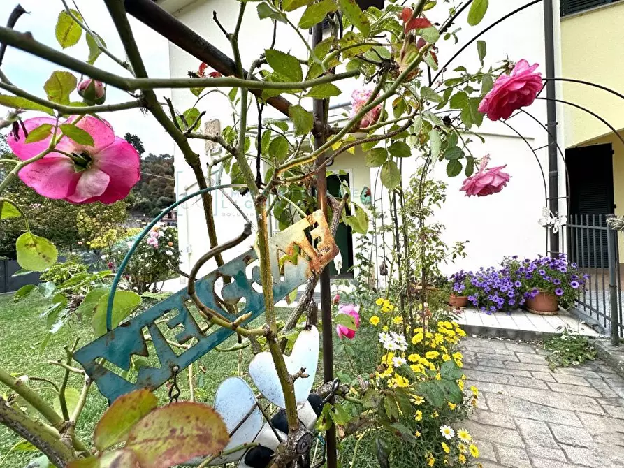 Immagine 17 di Villetta a schiera in vendita  in via scogliaira a Ortovero