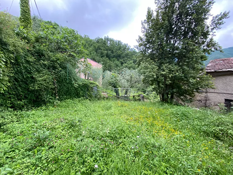 Immagine 17 di Rustico / casale in vendita  in Borgata menegu a Aquila D'arroscia