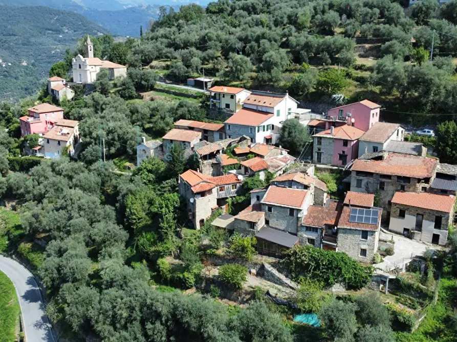 Immagine 21 di Rustico / casale in vendita  in Borgata menegu a Aquila D'arroscia