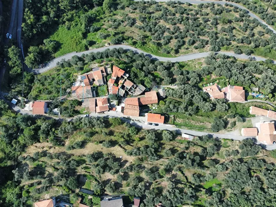 Immagine 26 di Rustico / casale in vendita  in Borgata menegu a Aquila D'arroscia