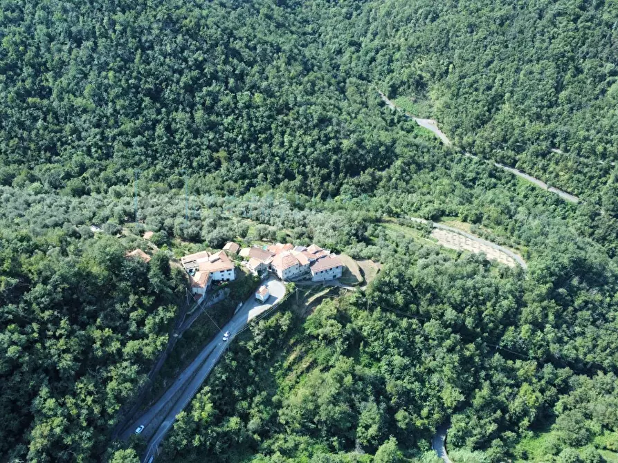 Immagine 27 di Rustico / casale in vendita  in Borgata menegu a Aquila D'arroscia