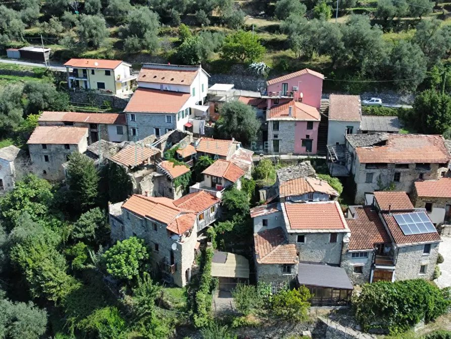 Immagine 19 di Rustico / casale in vendita  in Borgata menegu a Aquila D'arroscia