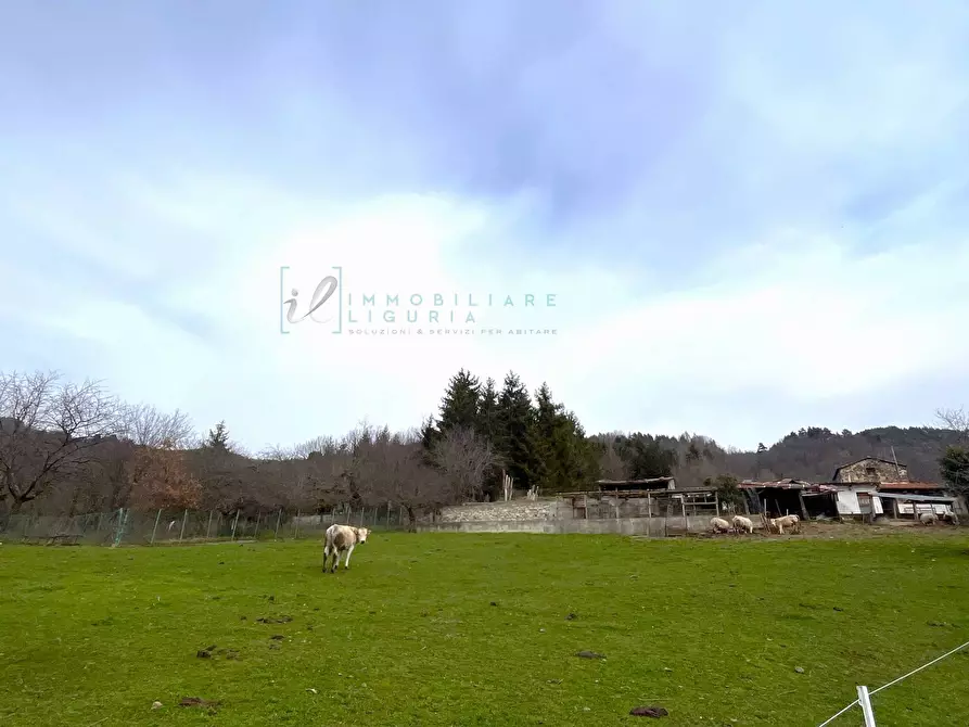 Immagine 24 di Appartamento in vendita  in Via Roma a Cosio D'arroscia