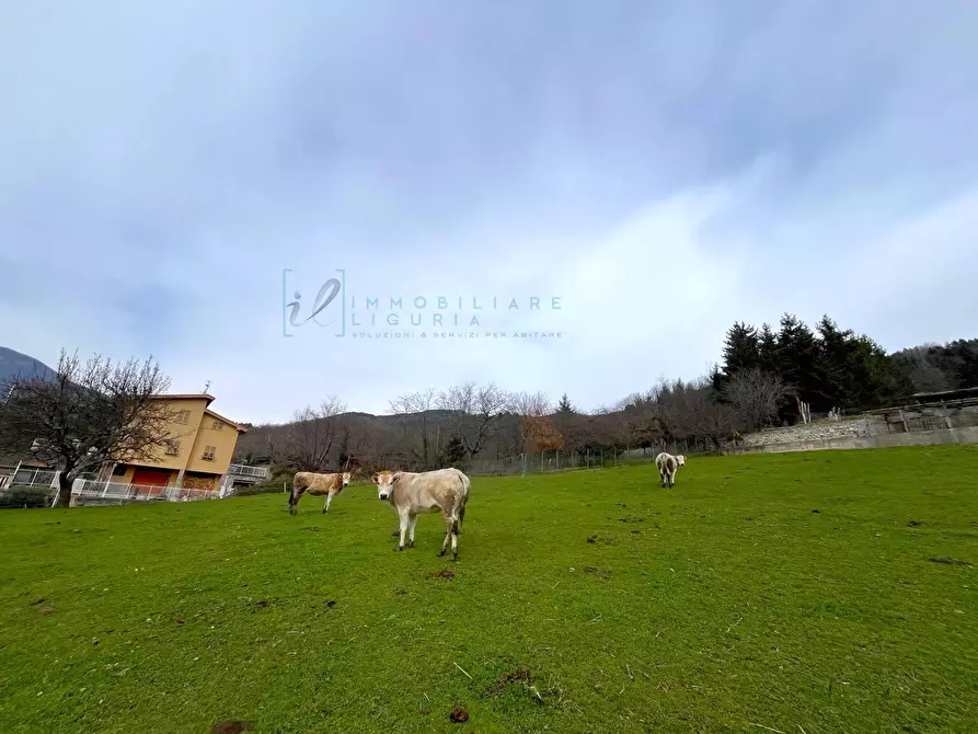 Immagine 25 di Appartamento in vendita  in Via Roma a Cosio D'arroscia