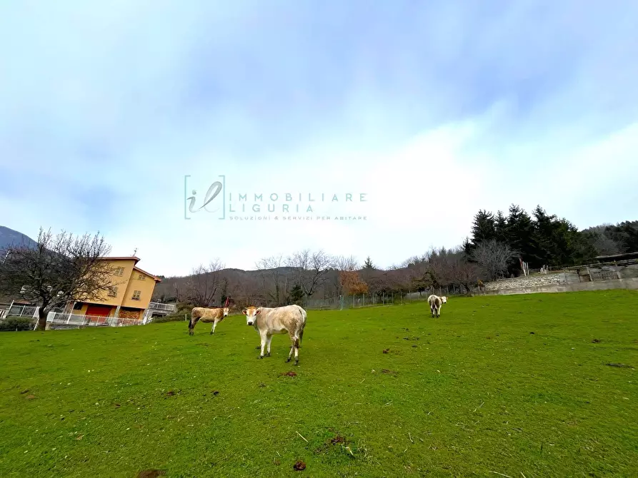 Immagine 23 di Appartamento in vendita  in Via Roma a Cosio D'arroscia